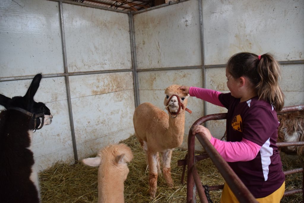 mimosa farm 10-2019 008 (1024x683).jpg